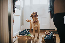 Little Outdoor Giants Photography