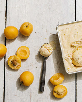 Little Outdoor Giants Photography