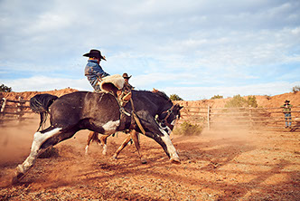 Little Outdoor Giants Photography