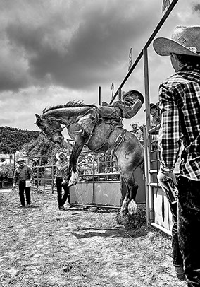 Little Outdoor Giants Photography