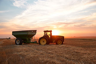 Little Outdoor Giants Photography