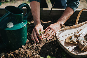 Little Outdoor Giants Photography