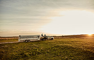 Little Outdoor Giants Photography