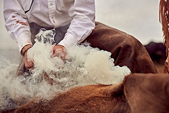 Little Outdoor Giants Photography